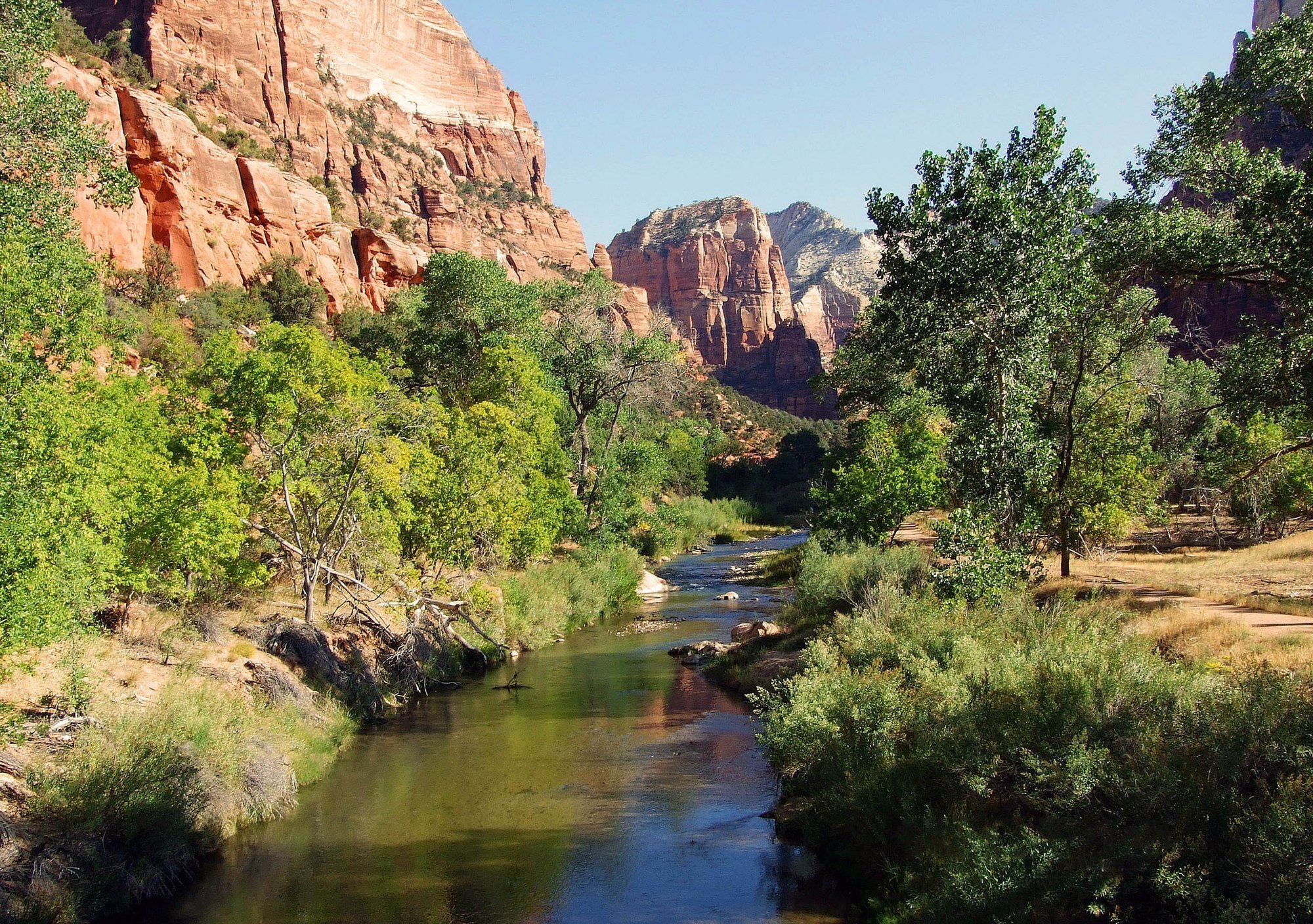 The virgin river in Zion.