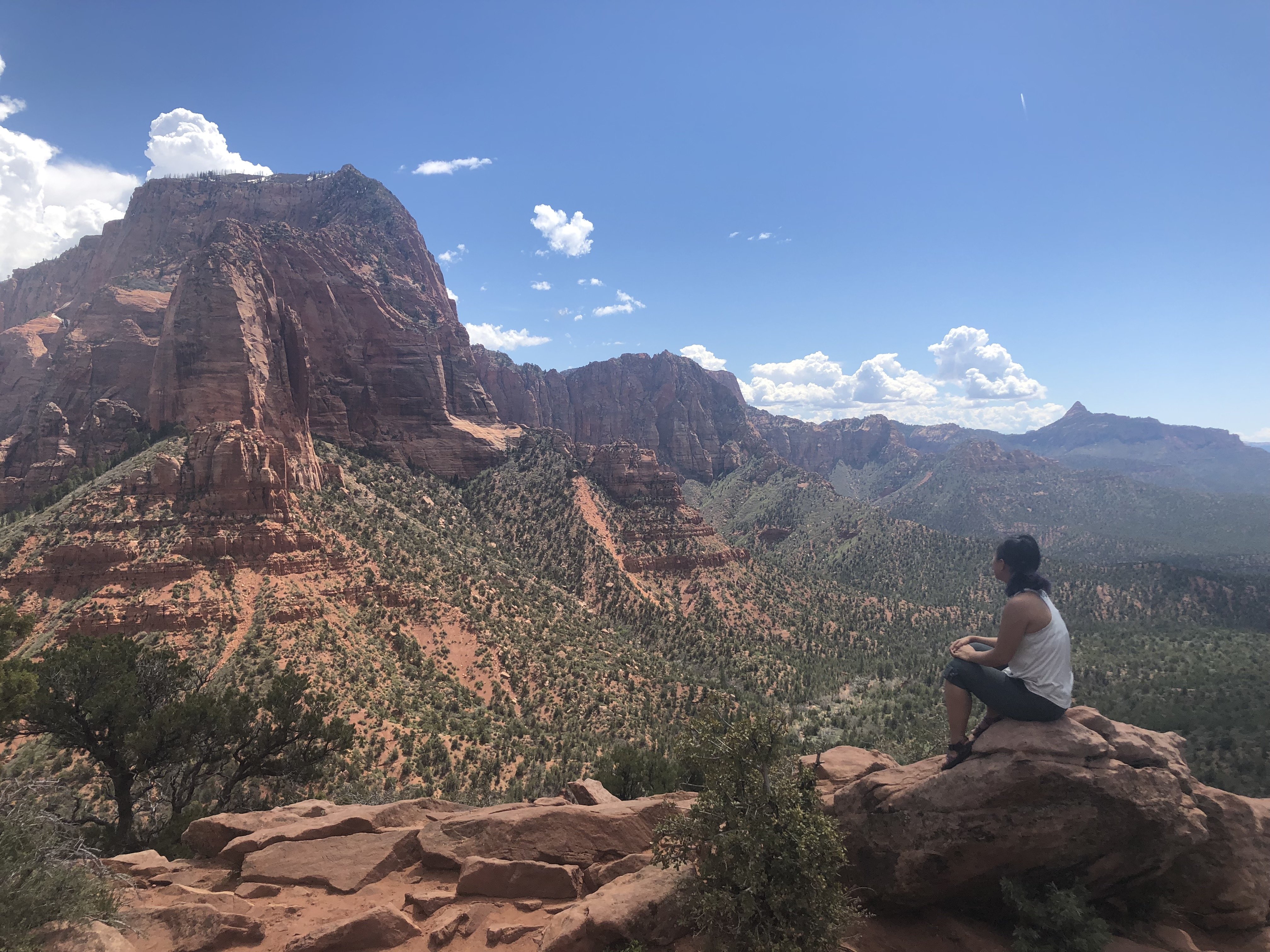 Timber Creek Overlook trail at Zion.