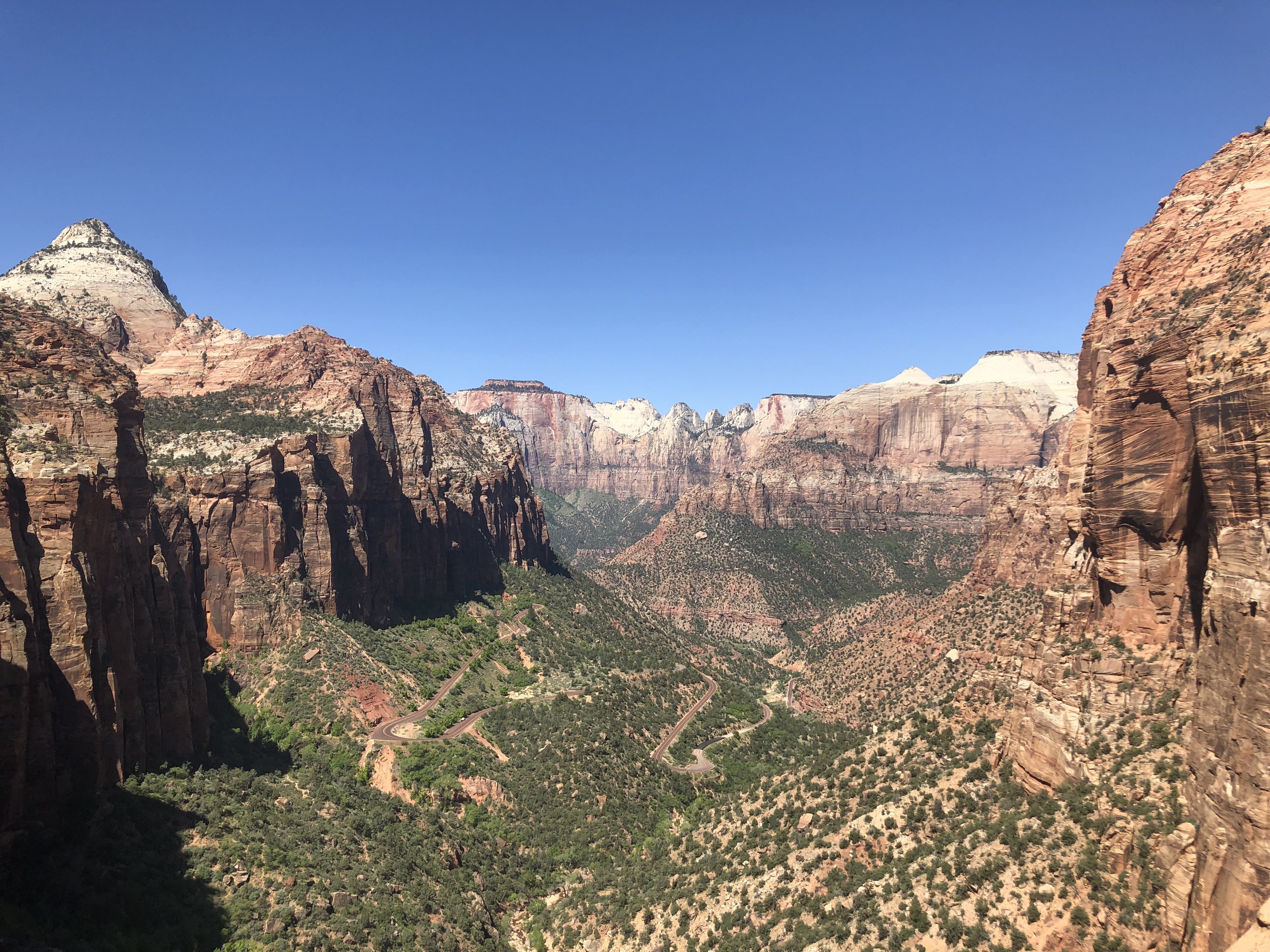 A view of the canyon floor on one of the hiking trails in Zion National Park.