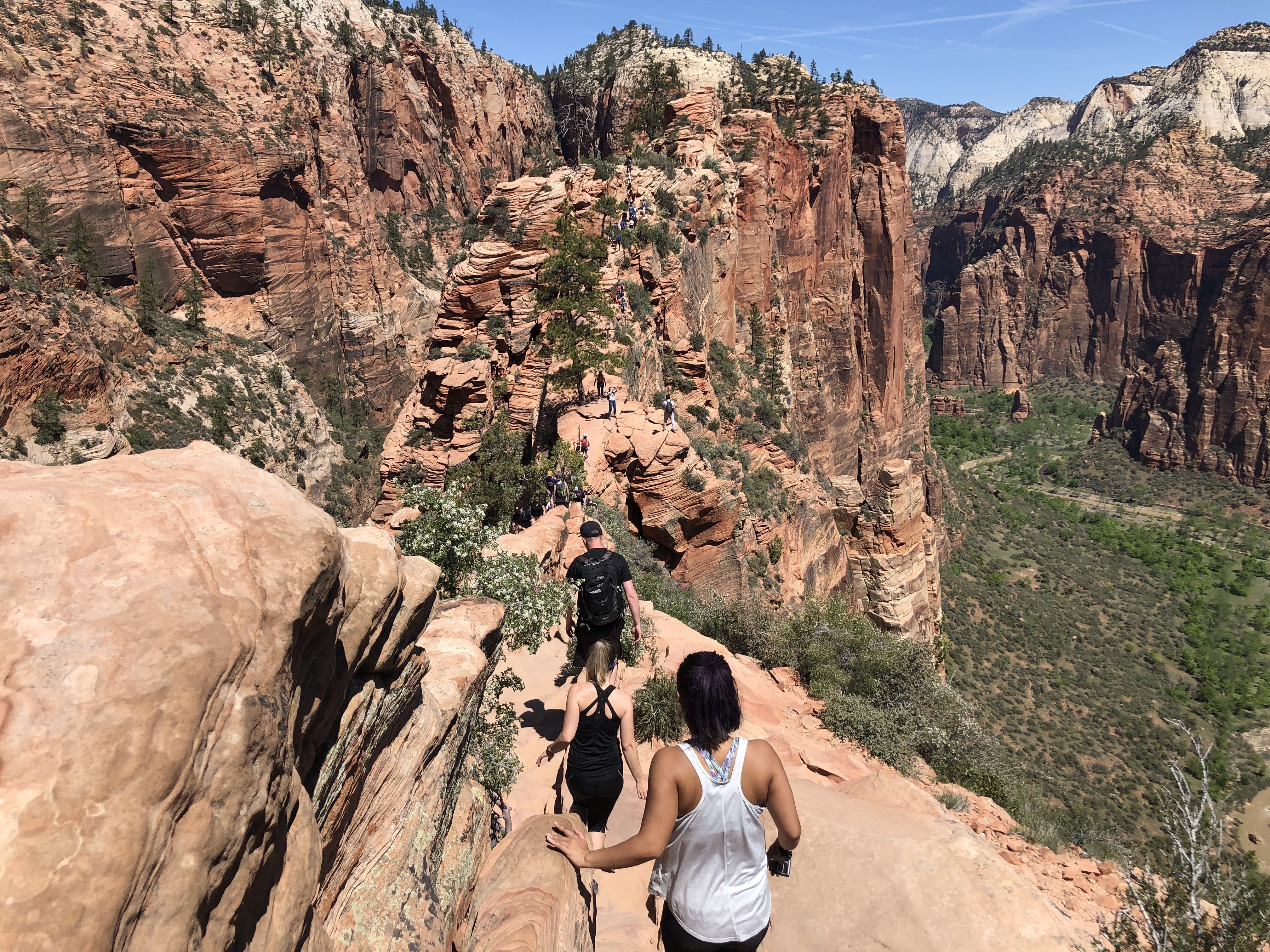A view of the narrow trail and steep drop-offs on Angels Landing