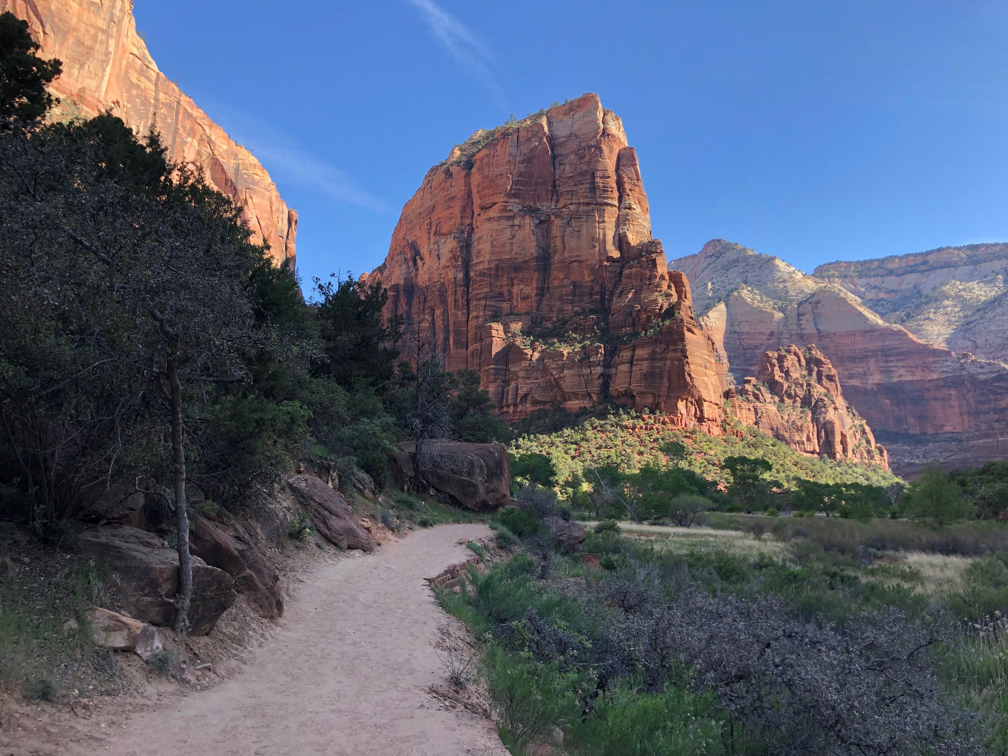 Angels Landing, a popular hike in Zion National Park.