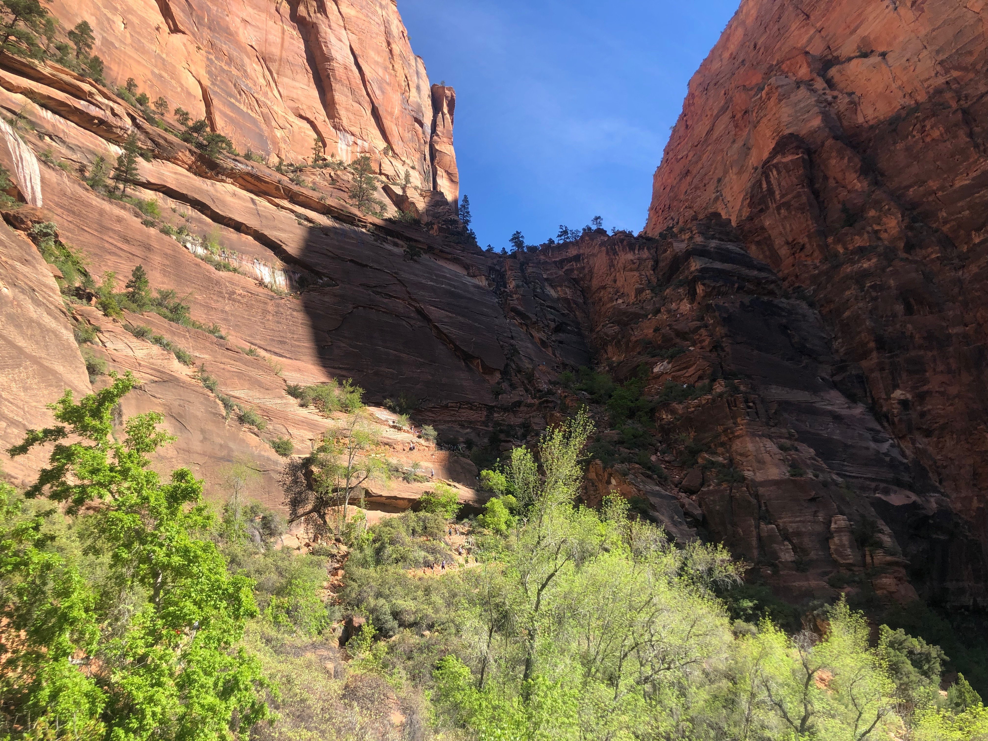 A view of the first set of switchbacks in Angels Landing.