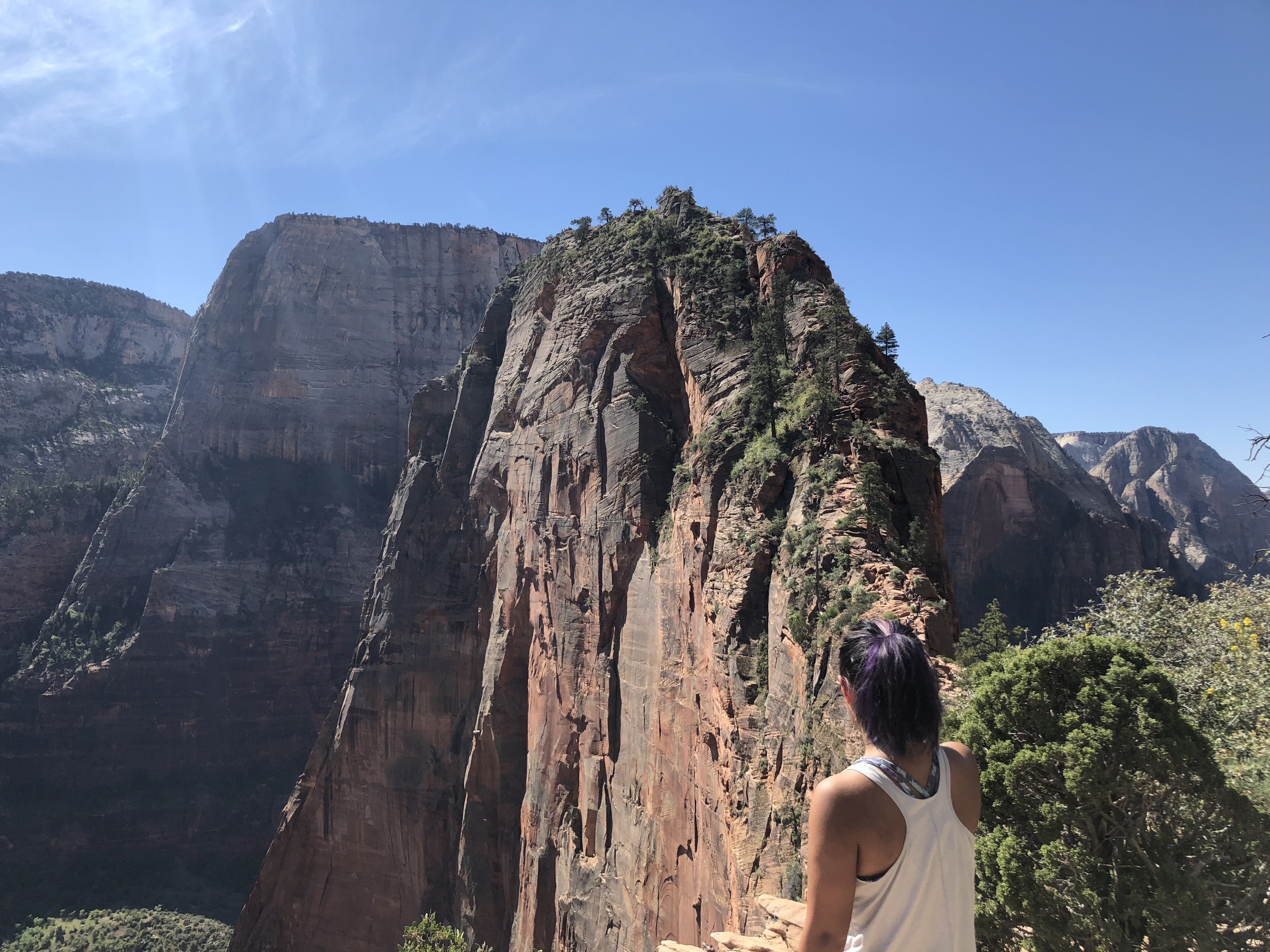 The author in front of Angels Landing, a popular hike in Zion National Park.