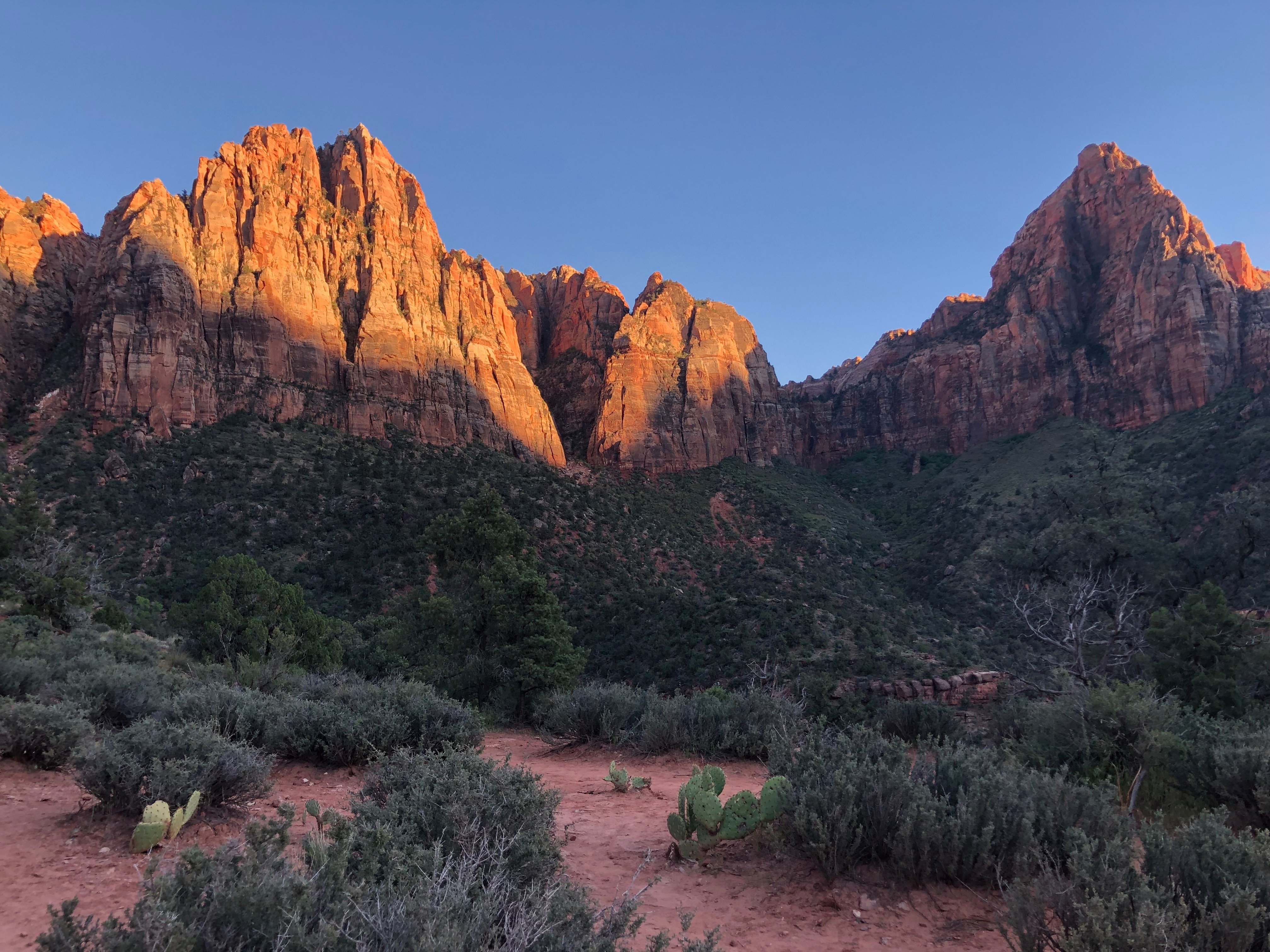 Red cliffs glow in an orange light in Zion National Park.