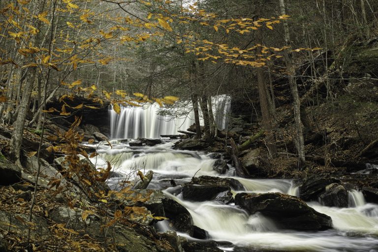 17 Absolutely Beautiful Hikes Near Philadelphia for All Levels