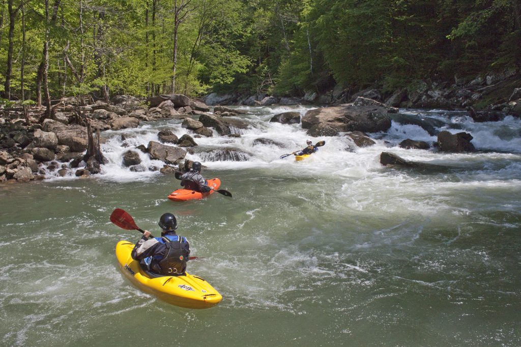 Rocky shores and tree-lined shores make up the rugged terrain of Village Creek while kayaking in Dallas. 