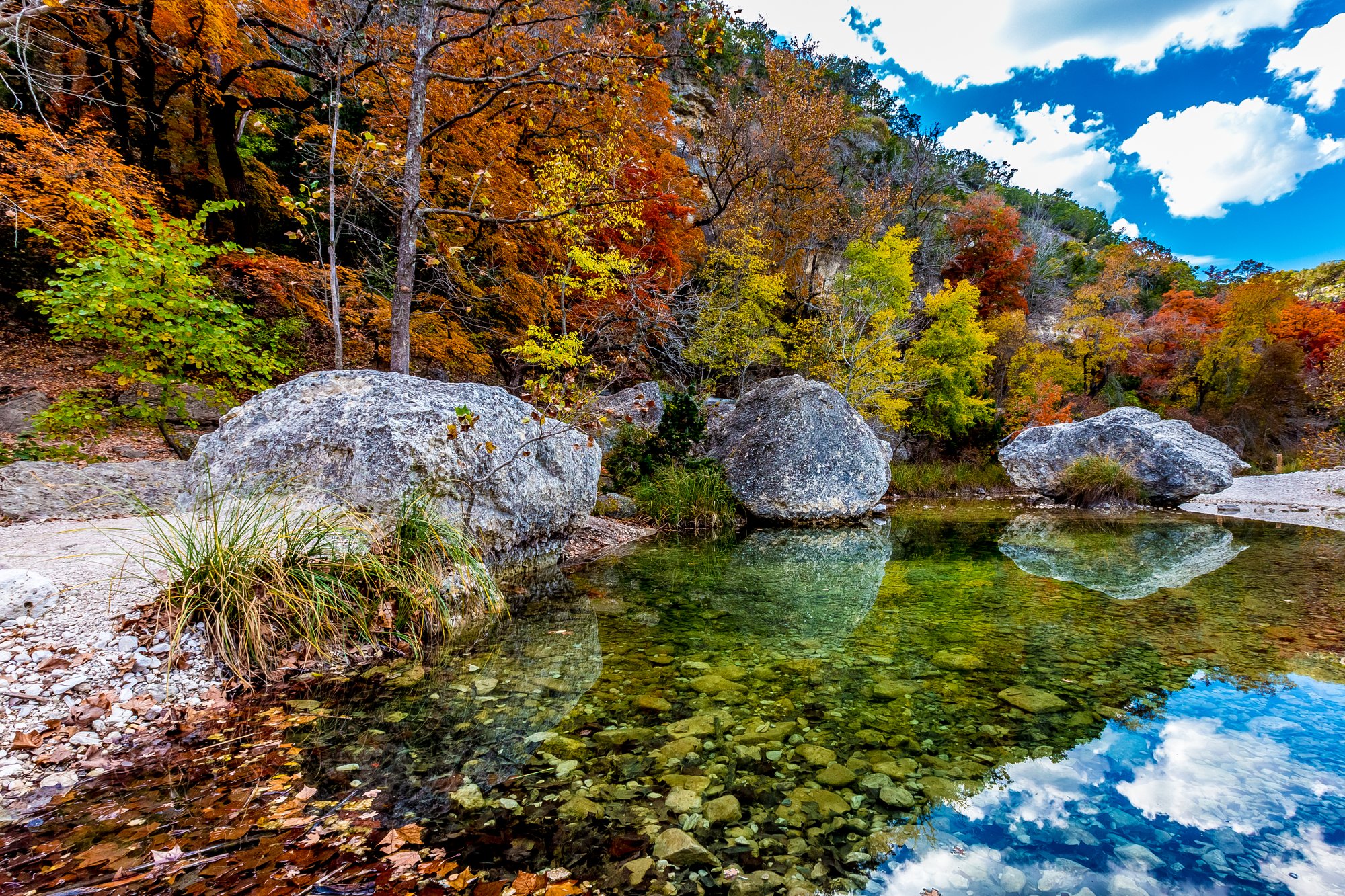 Beautiful colors in Lost Maples State Park, one of the most beautiful San Antonio hikes