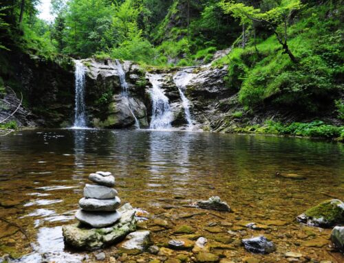 Grayl GeoPress Review: Water Purifier’s Tested