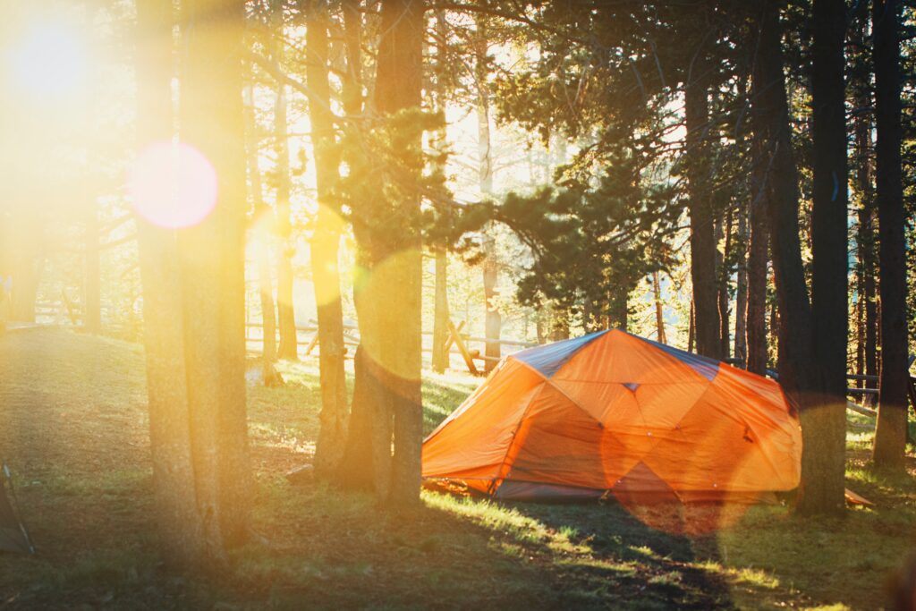 Orange tent in the middle of the forest with sunlight shining through - an idea of what camping near Salt Lake City would look like