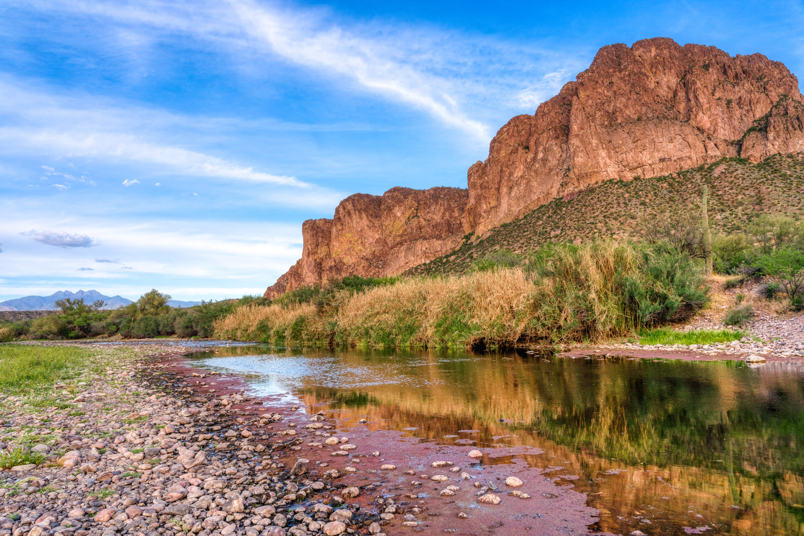 Lower Salt River in Arizona, one of the best outdoor activities in Phoenix